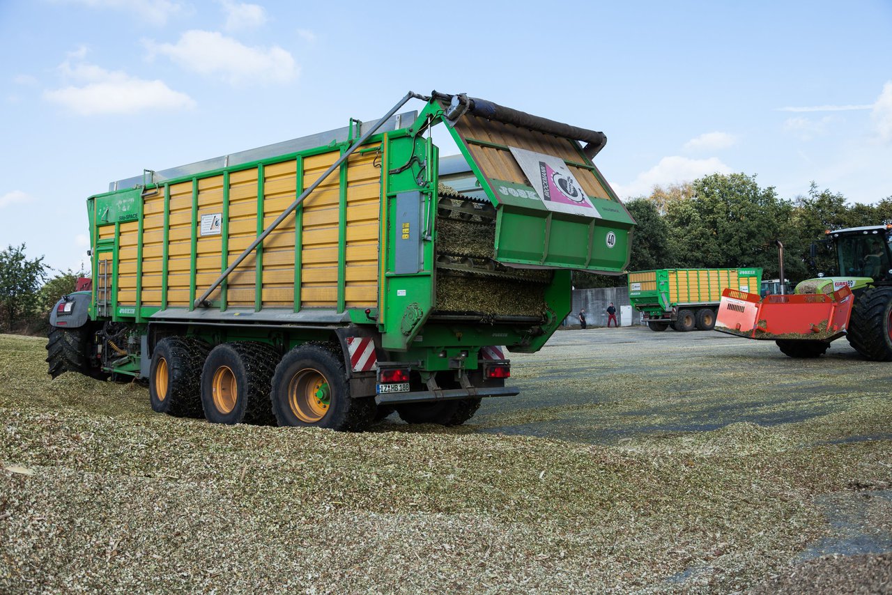 Bild 134 - Maisernte